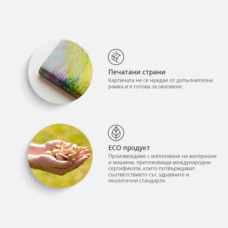 Картини - Животни - Картина - велосипеди (колекция) - Картината върху платно като ефектна украсаНеповторимите картини с естетични мотиви са чудесно допълнение към елегантната подредба.