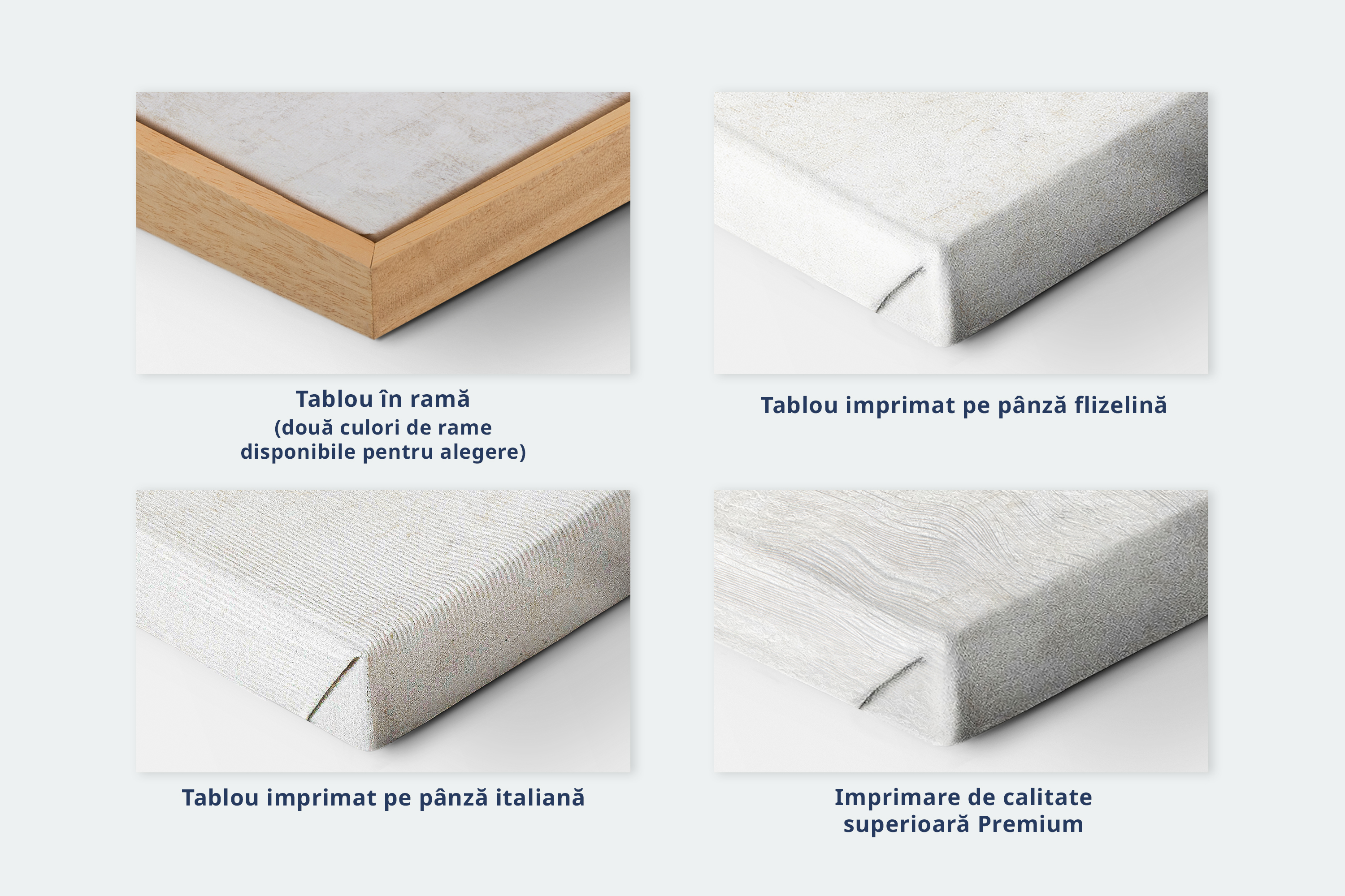 Tablouri canvas