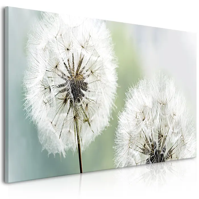 Obraz - Fluffy Dandelions (1 Part) Green Wide