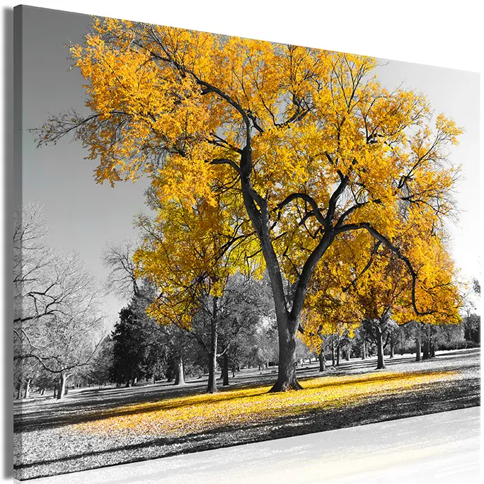 Obraz - Autumn in the Park (1 Part) Wide Gold