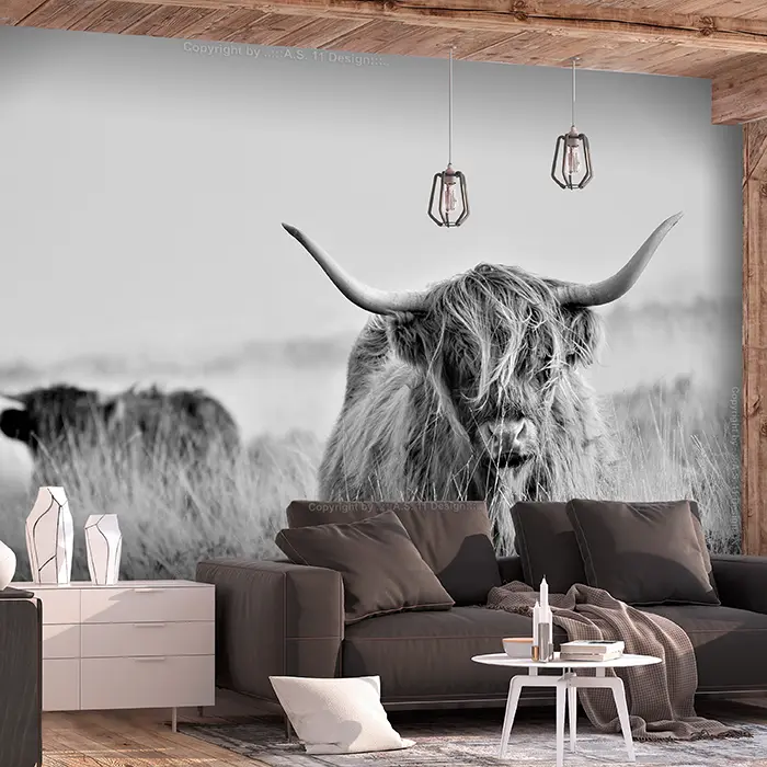 Fototapeta - Highland Cattle