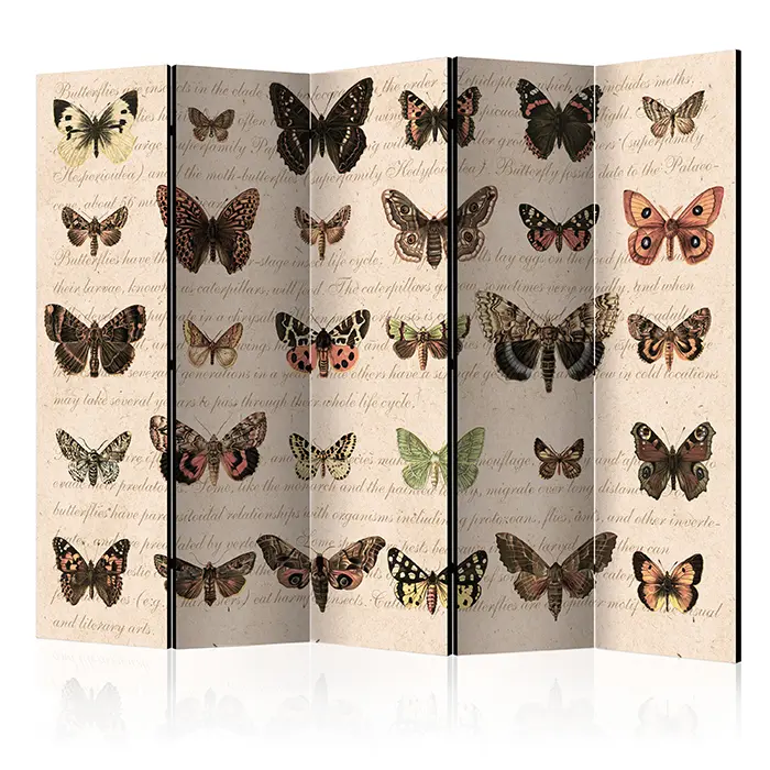 Paraván - Retro Style: Butterflies II [Room Dividers]