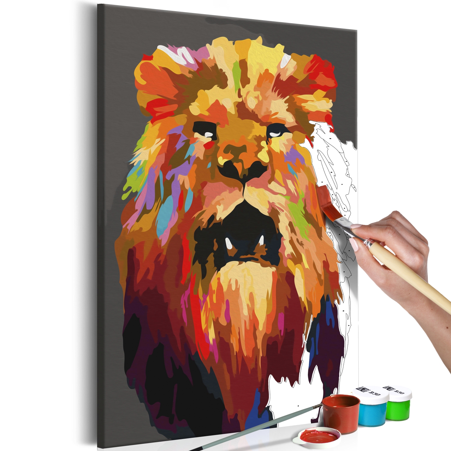 Maľovanie podľa čísiel - Colourful Lion (Large)
