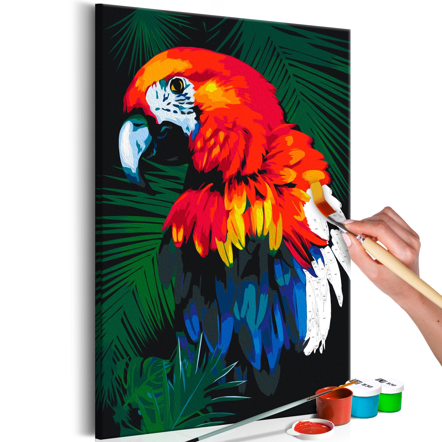Maľovanie podľa čísiel - Parrot