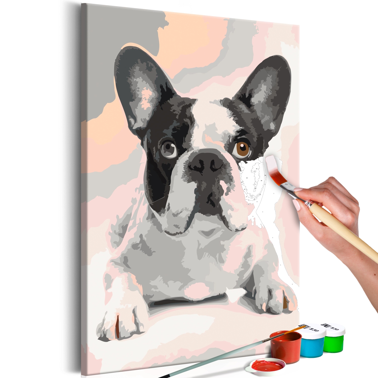 Maľovanie podľa čísiel - French Bulldog