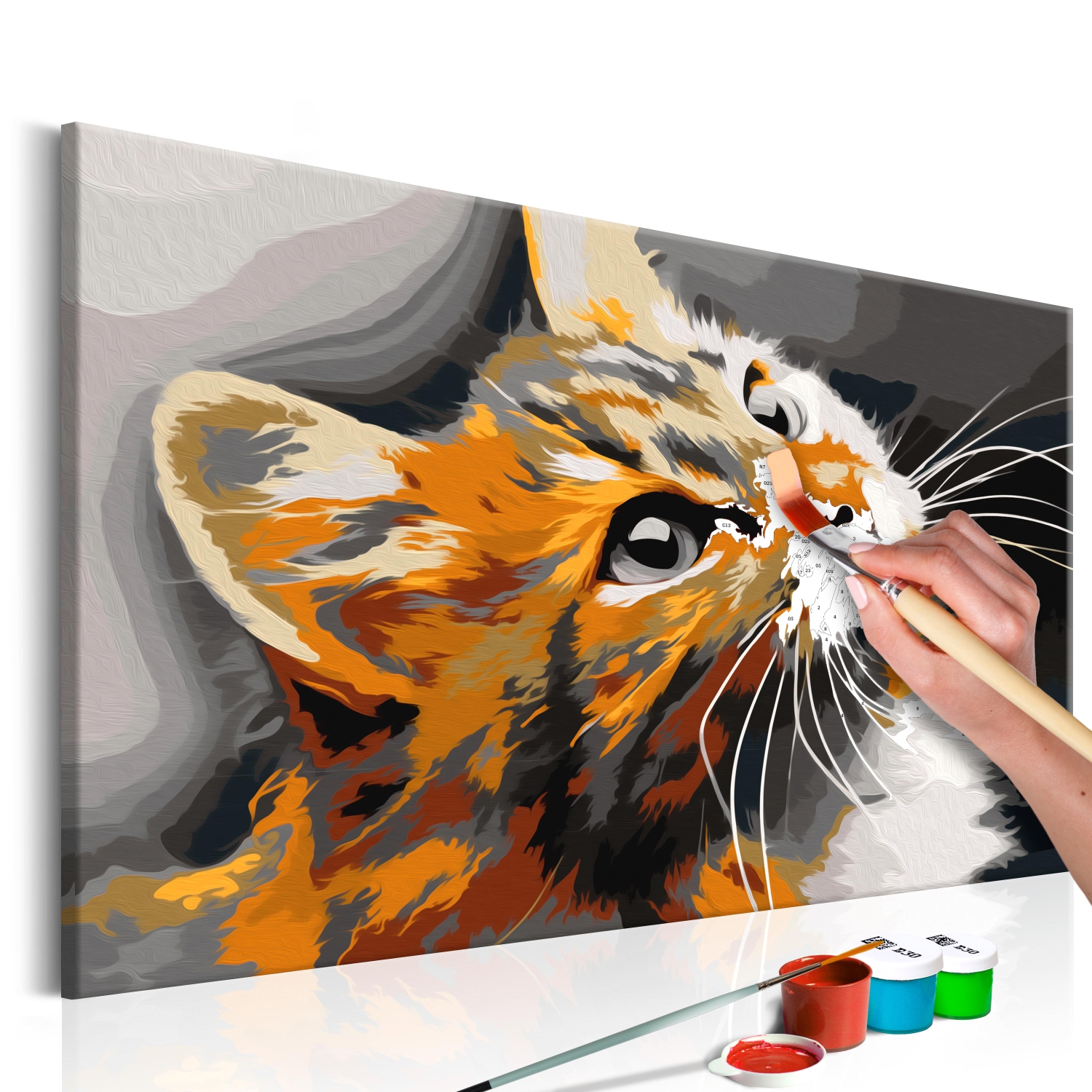 Maľovanie podľa čísiel - Red Cat