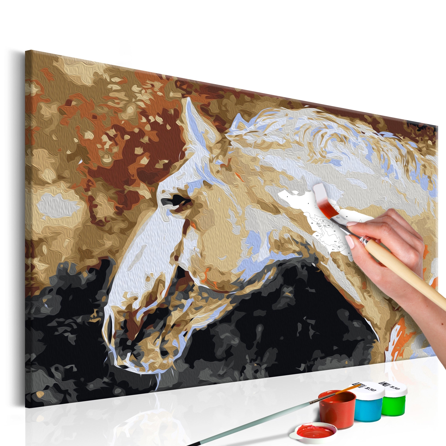 Maľovanie podľa čísiel - White Horse