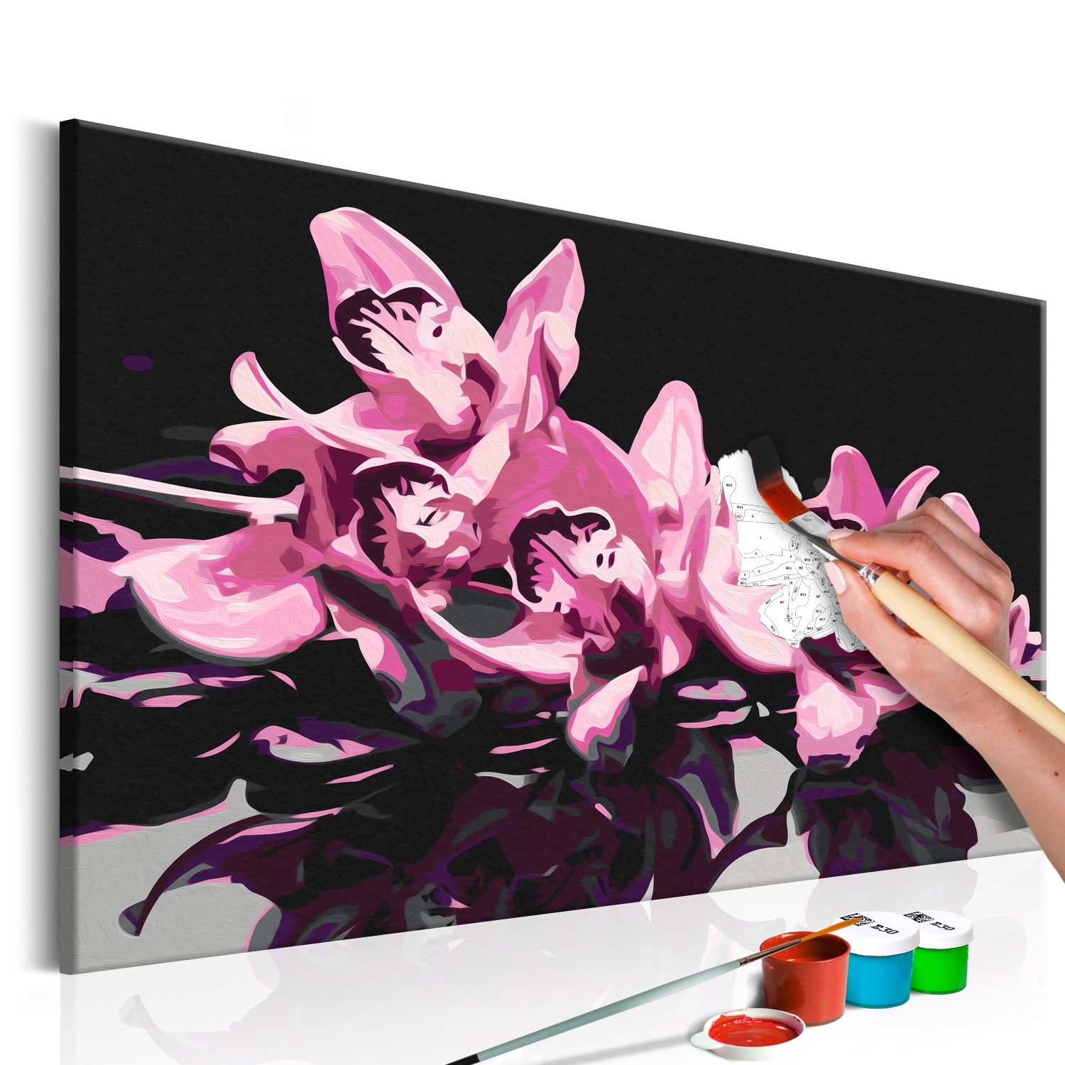 Maľovanie podľa čísiel - Pink Orchid (Black Background)