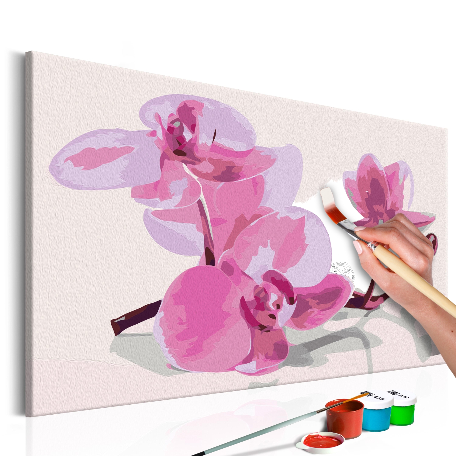 Maľovanie podľa čísiel - Orchid Flowers