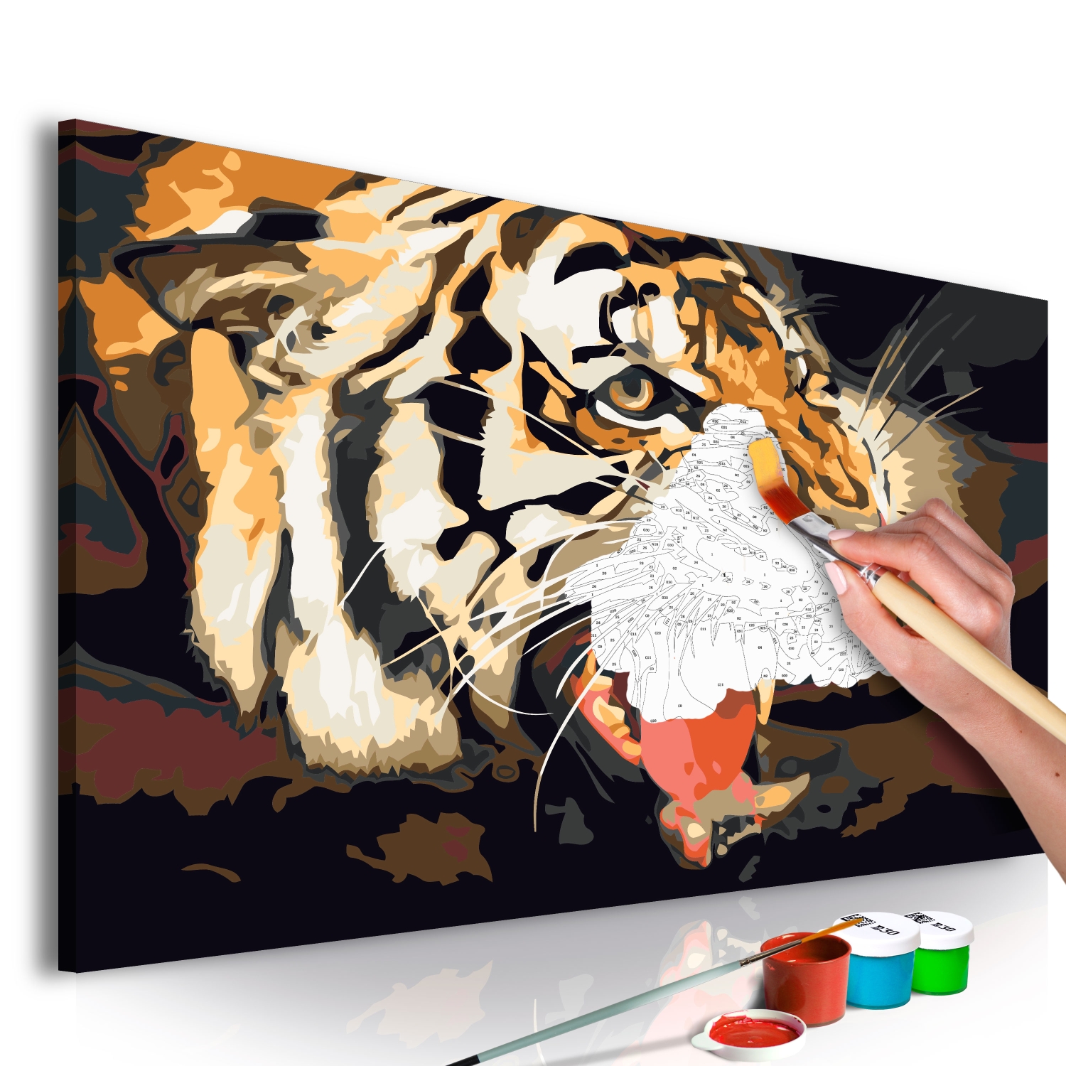 Maľovanie podľa čísiel - Tiger Roar