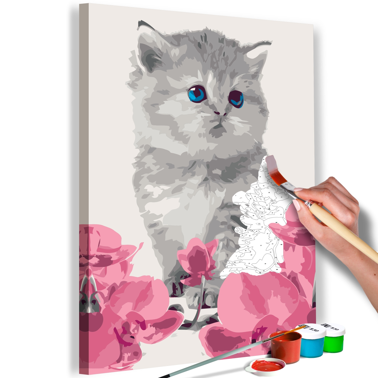 Maľovanie podľa čísiel - Kitty Cat