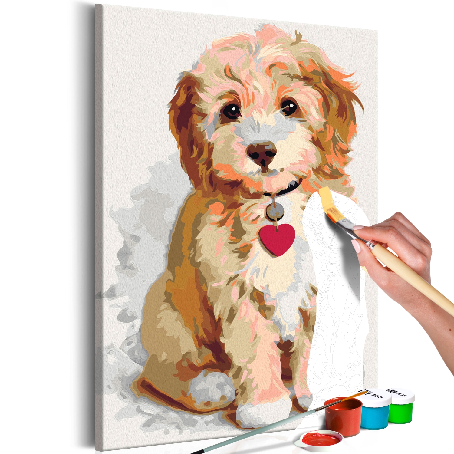 Maľovanie podľa čísiel - Dog (Puppy)