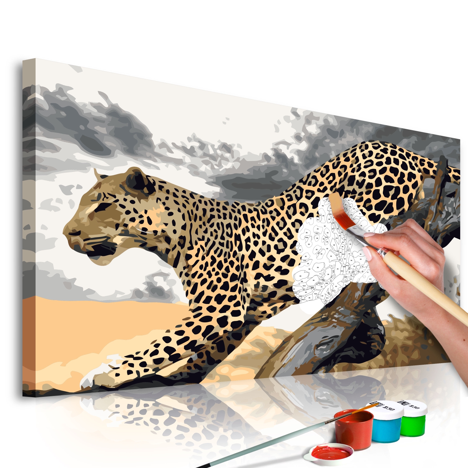Maľovanie podľa čísiel - Cheetah