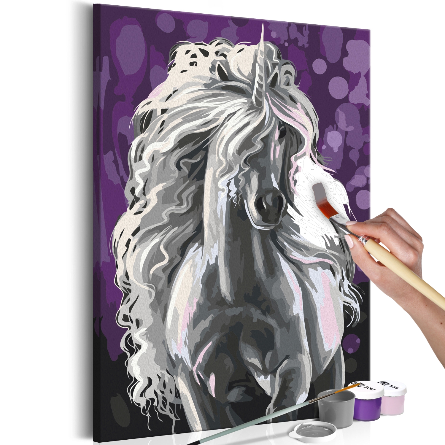 Maľovanie podľa čísiel - White Unicorn